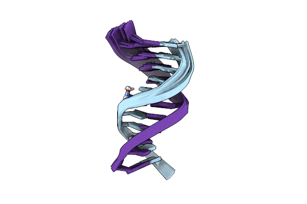 2LT0 image