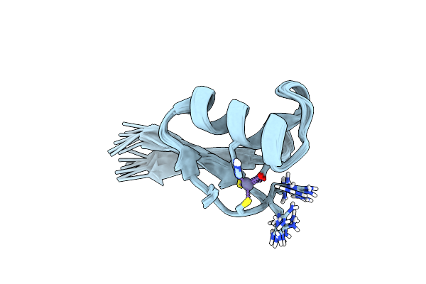 2LVH image