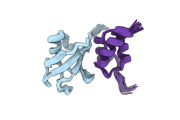 2LVO image