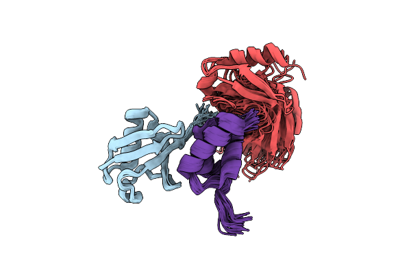 2LVP image