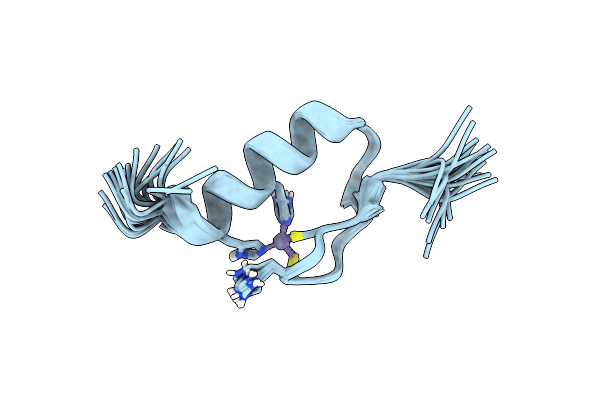 2LVR image