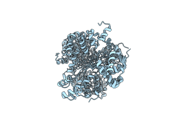 2LVS image