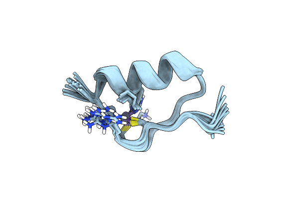 2LVU image