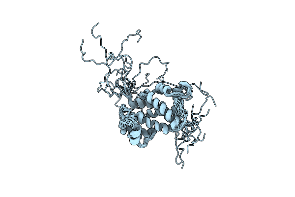 2LVV image