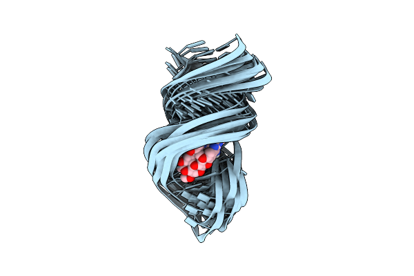 2LWK image