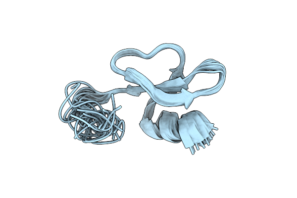 2LWL image