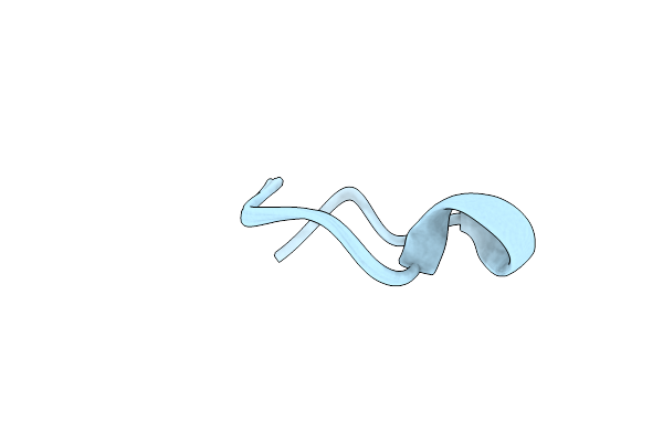 2LWS image