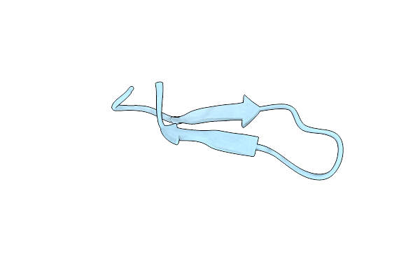 2LWT image