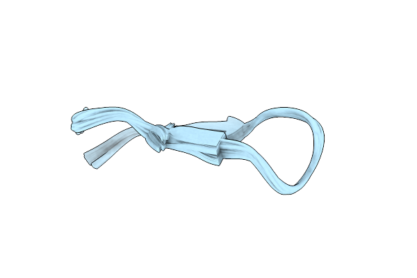 2LWV image