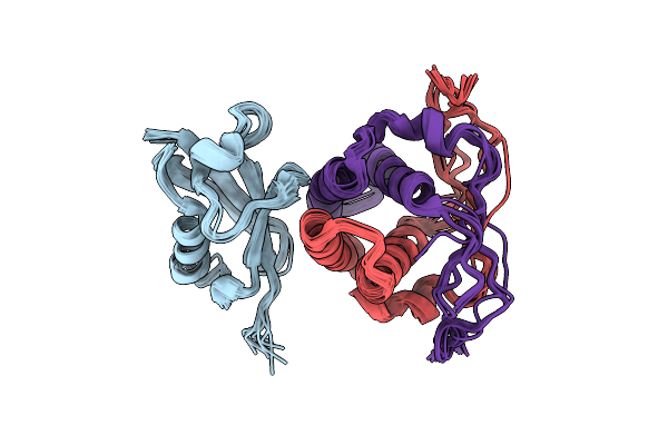 2LXC image