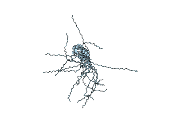 2LXF image