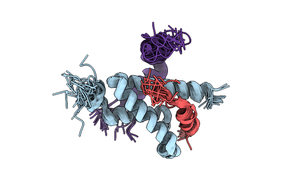 2LXT image