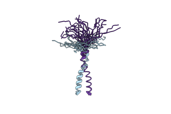 2LZL image