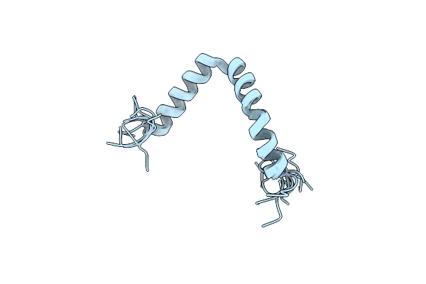2LZR image