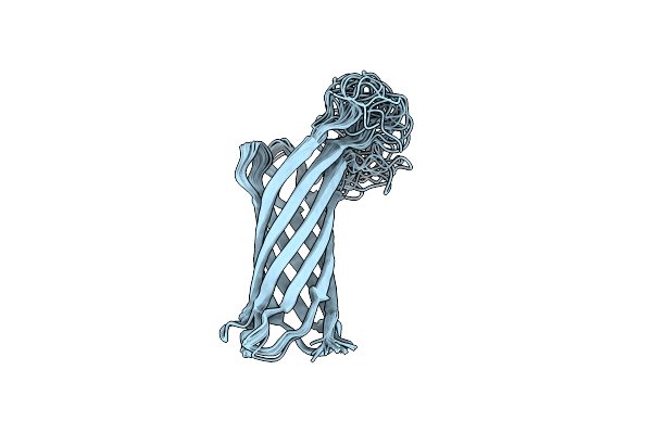 2M07 image