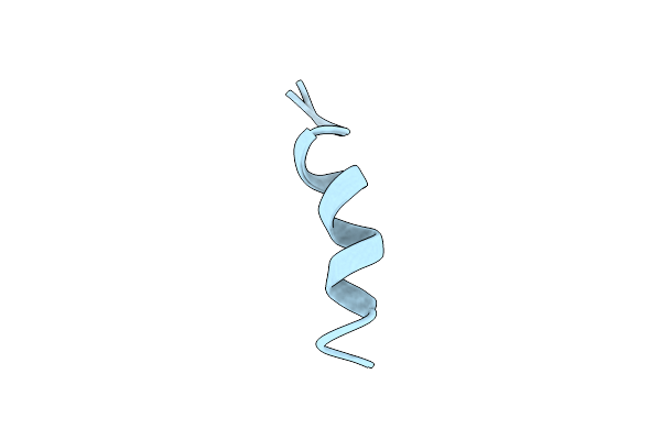2M1F image