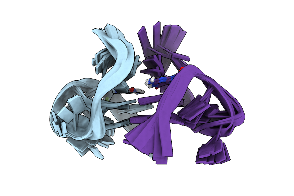 2M1G image