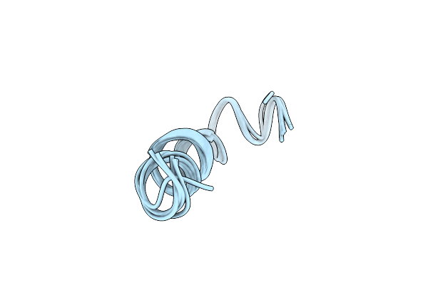 2M1T image