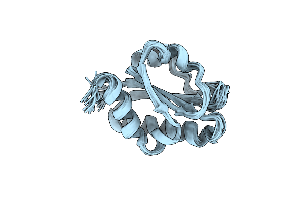 2M1Z image
