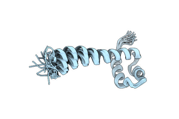 2M2E image