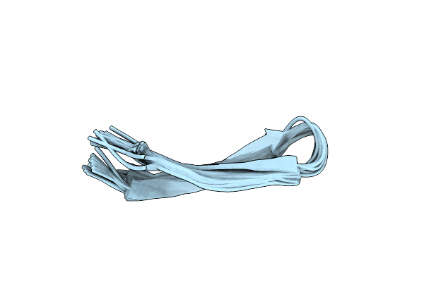 2M2G image