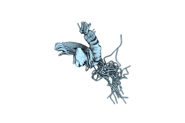 2M2L image