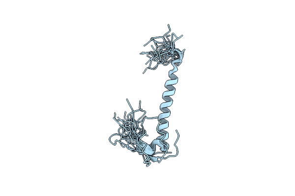 2M3E image