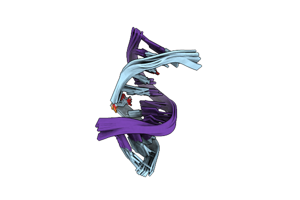 2M3P image