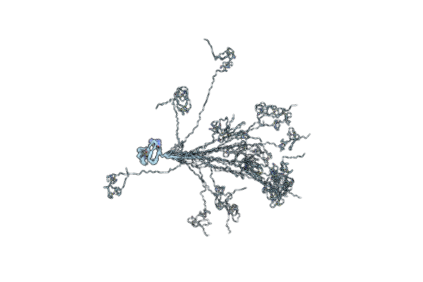 2M48 image