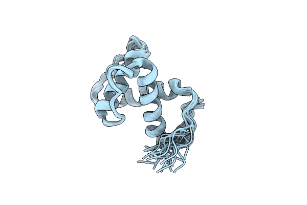 2M4E image
