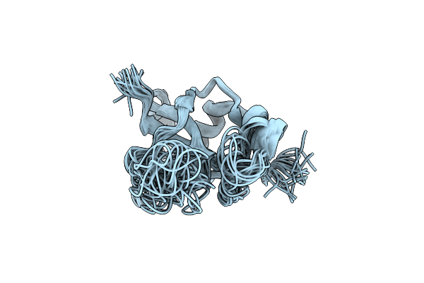 2M4N image