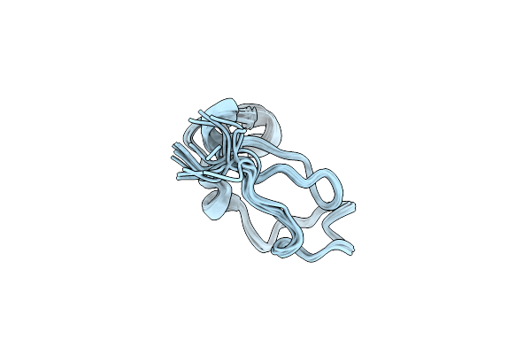 2M4Y image