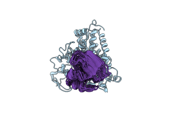 2M56 image
