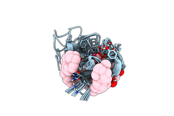 2M5P image