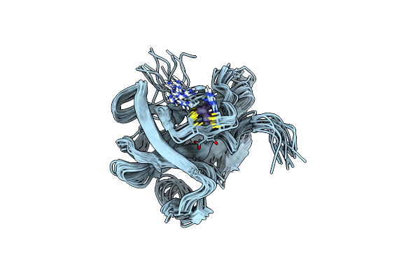 2M5T image