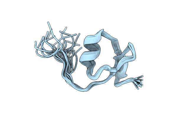 2M5X image