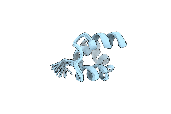 2M5Z image