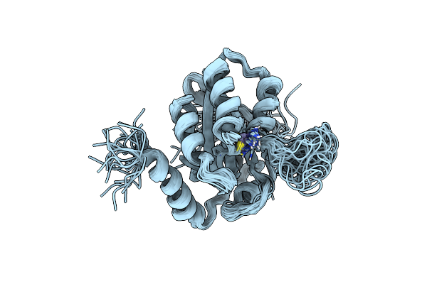 2M65 image
