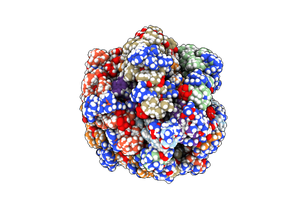 2M6X image