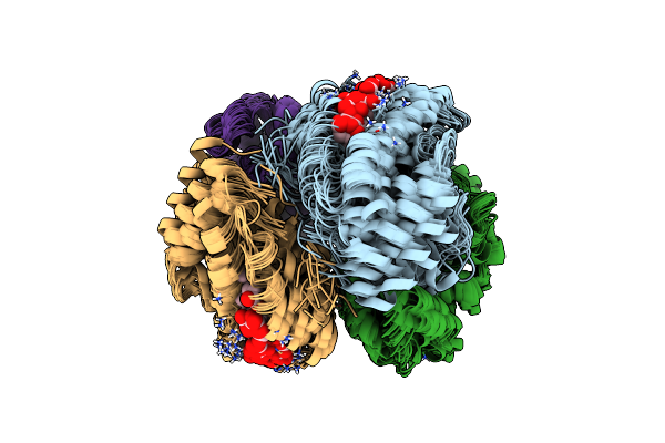 2M6Z image