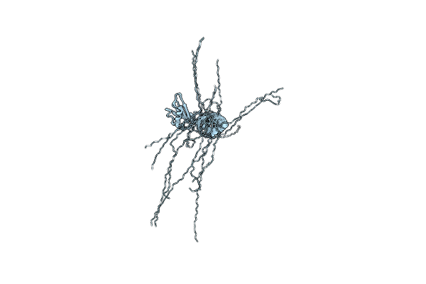 2M70 image