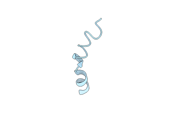 2M73 image