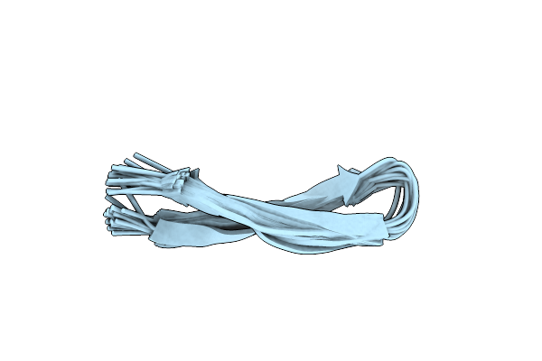 2M79 image