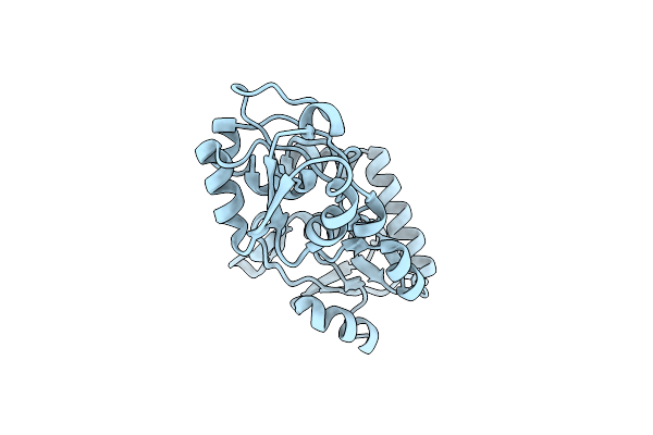 2M8C image