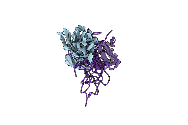 2M8D image