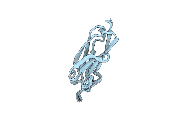 2M8X image