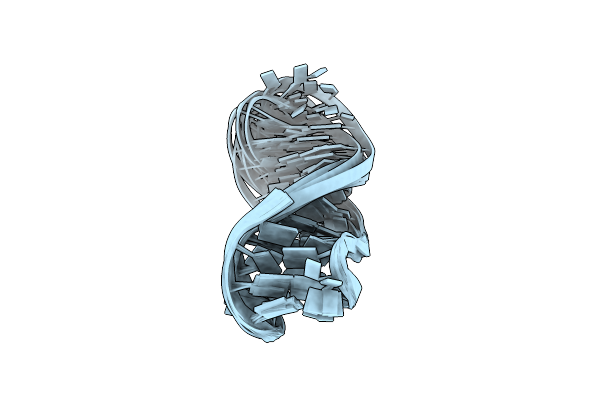 2M91 image
