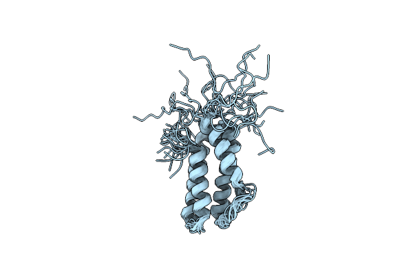 2M9X image