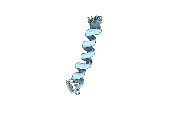 2MAE image