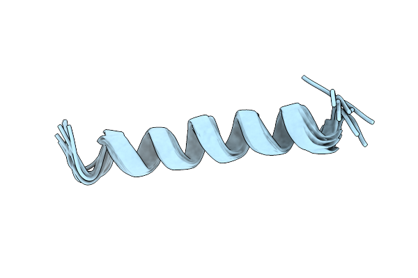 2MAG image